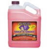 Wizards Products 01217 Mist-N-Shine, Gallon